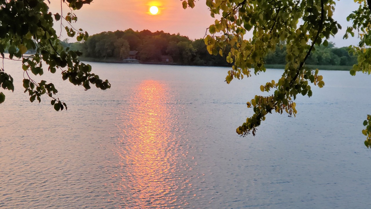 Photo of Others in Maple Lake