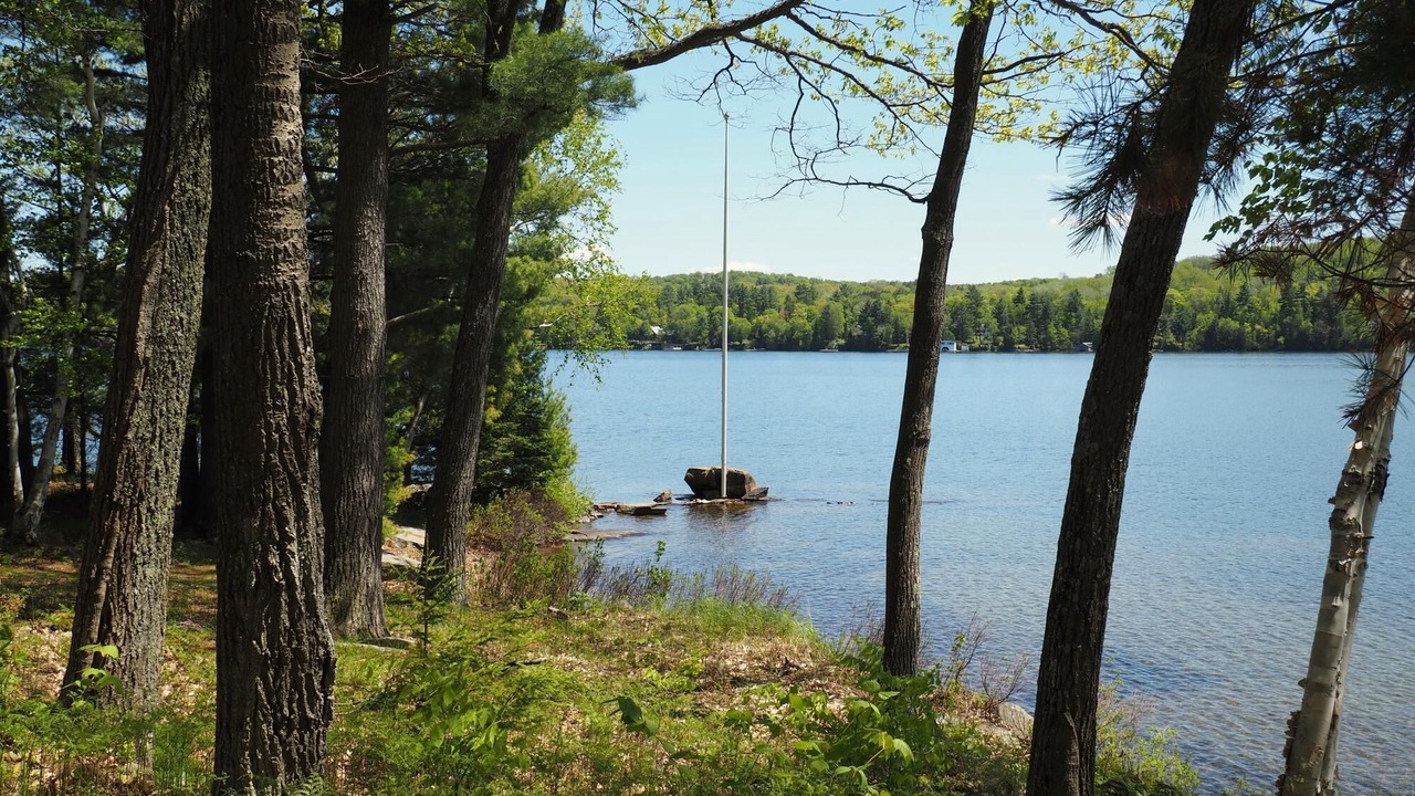 Photo of Others in Lake of Bays