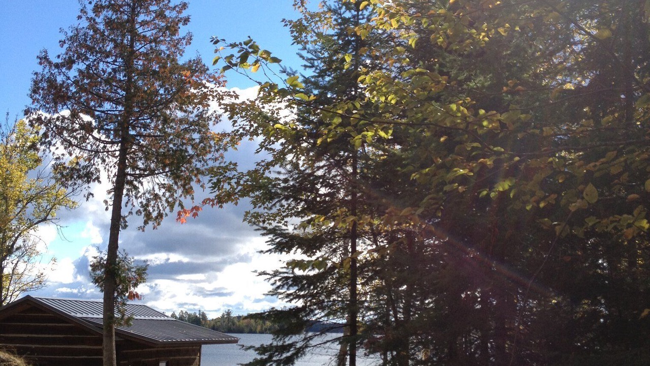 Photo of Outdoor in Cook