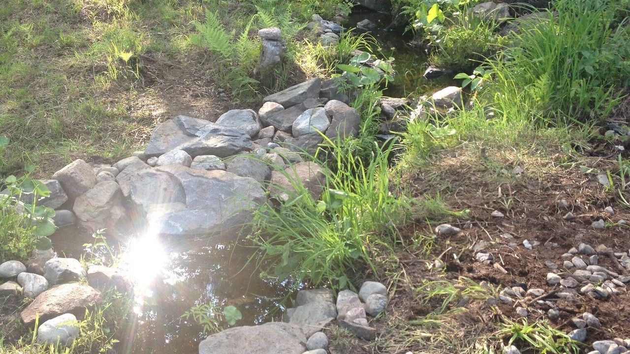 Photo of Outdoor in Cook