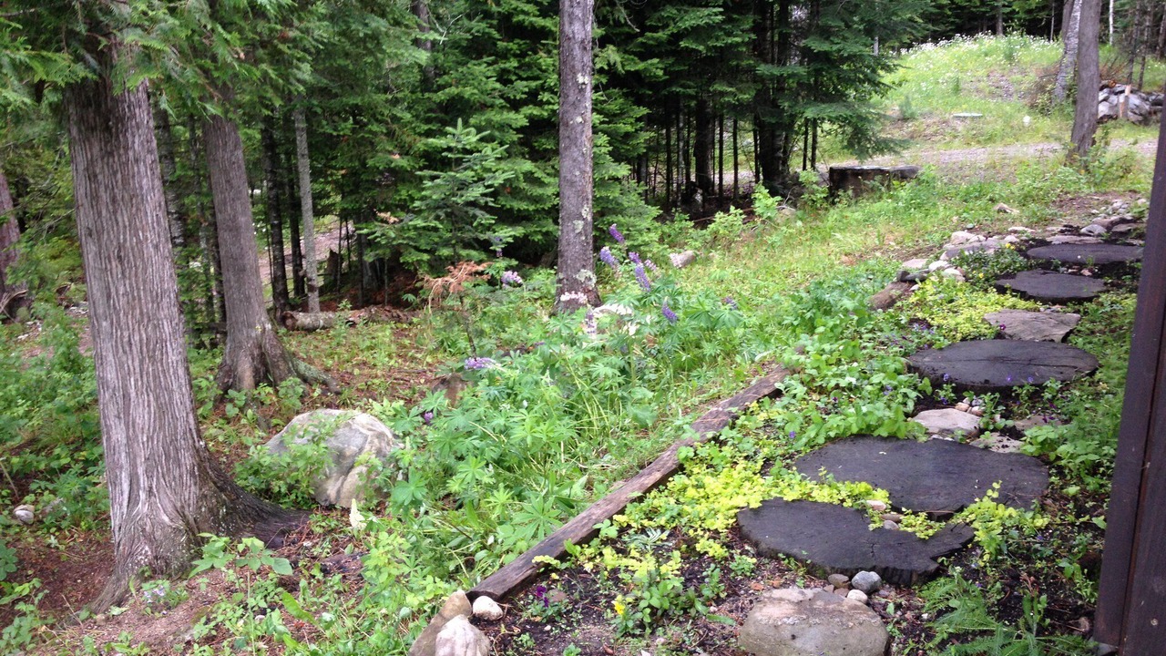 Photo of Outdoor in Cook