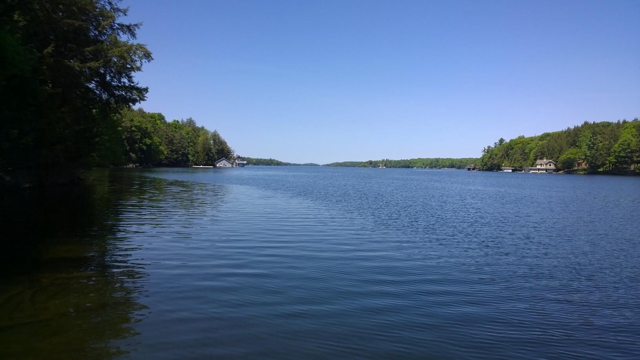 Photo of Others in Muskoka Lakes