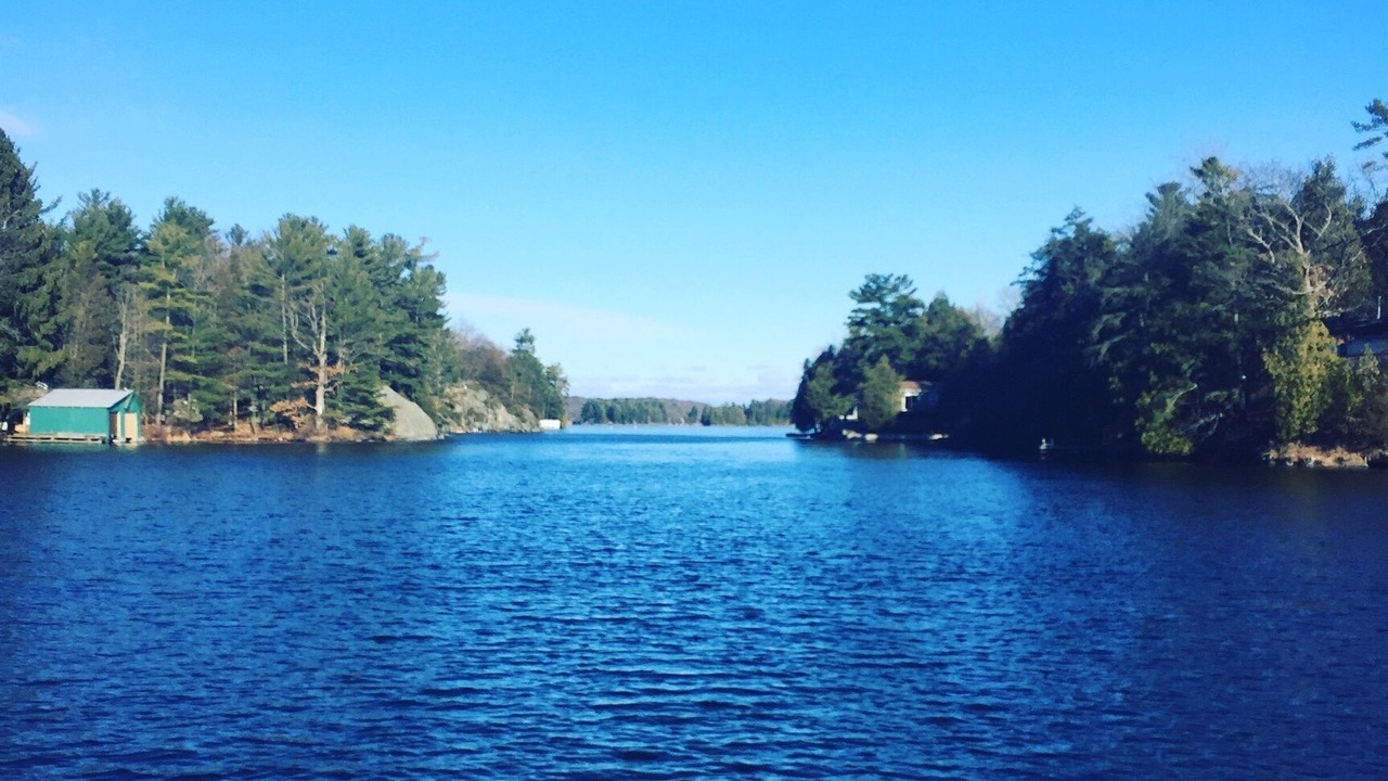 Photo of Others in Leeds and the Thousand Islands