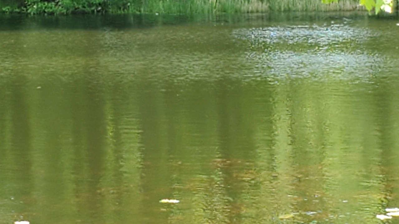 Photo of Outdoor in Carlton County