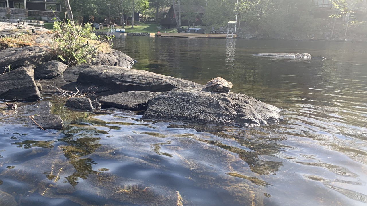 Photo of Others in Georgian Bay