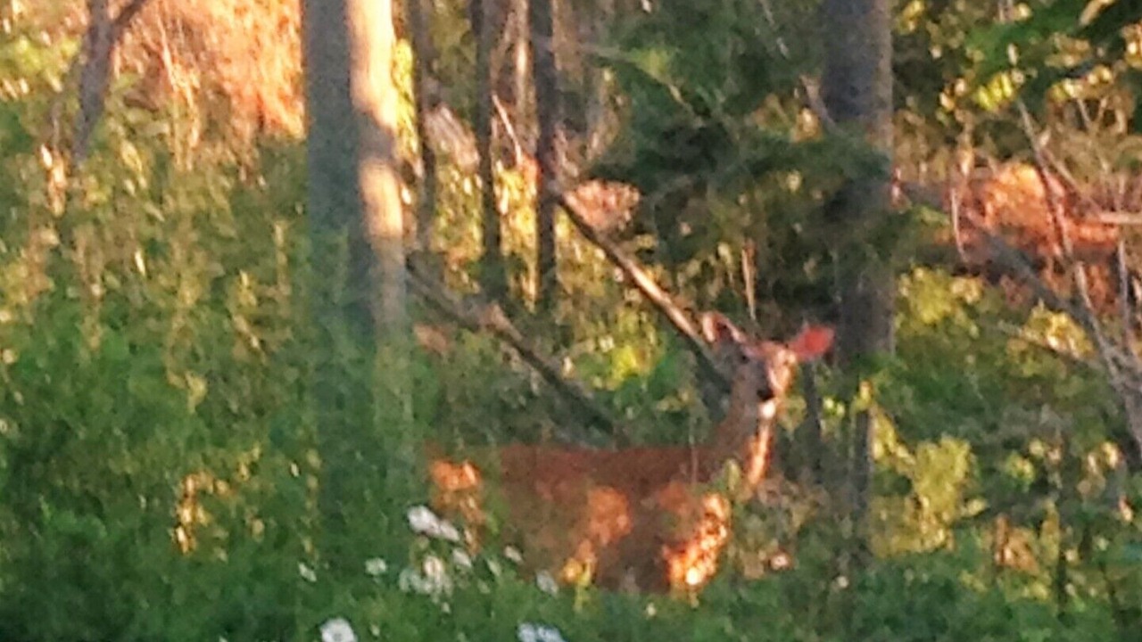 Photo of Outdoor in Kenora