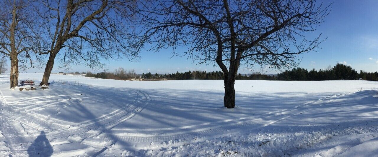 Photo of Others in Bradford West Gwillimbury