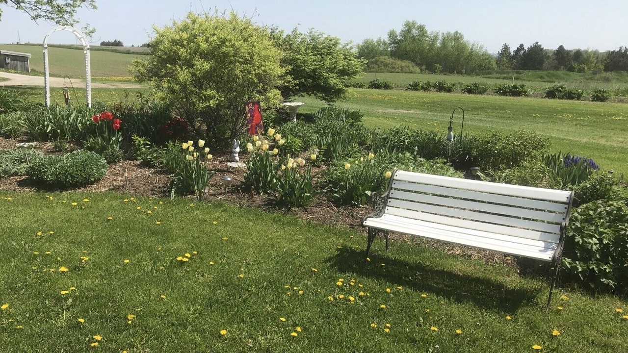 Photo of Others in Bradford West Gwillimbury