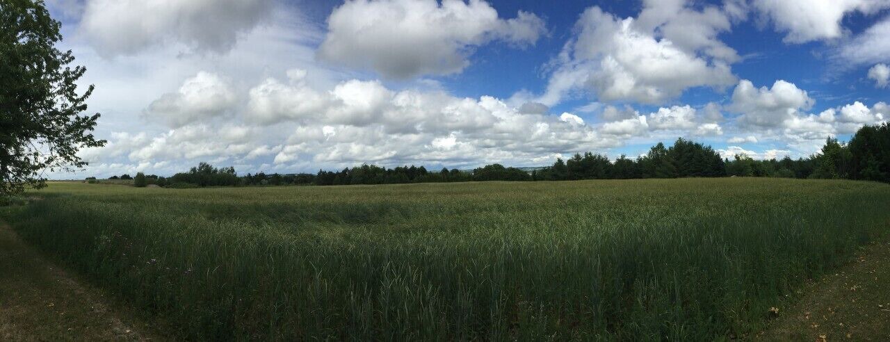 Photo of Others in Bradford West Gwillimbury