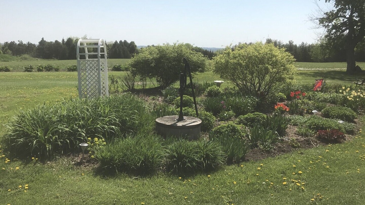 Photo of Others in Bradford West Gwillimbury