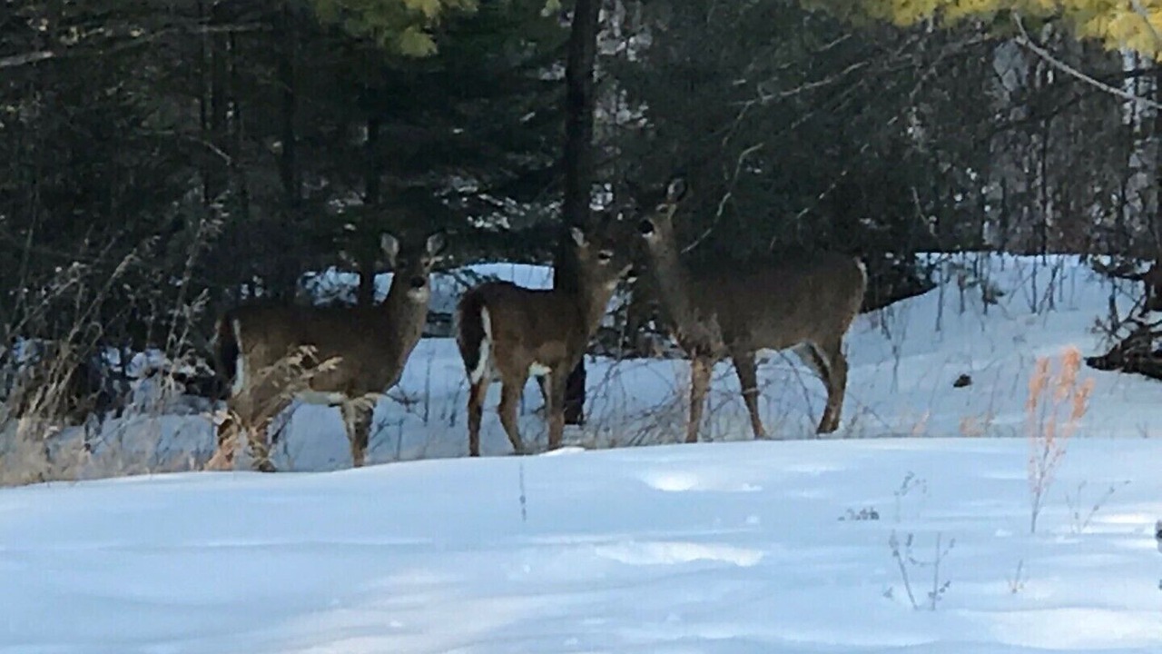 Photo of Others in Whitewater Region