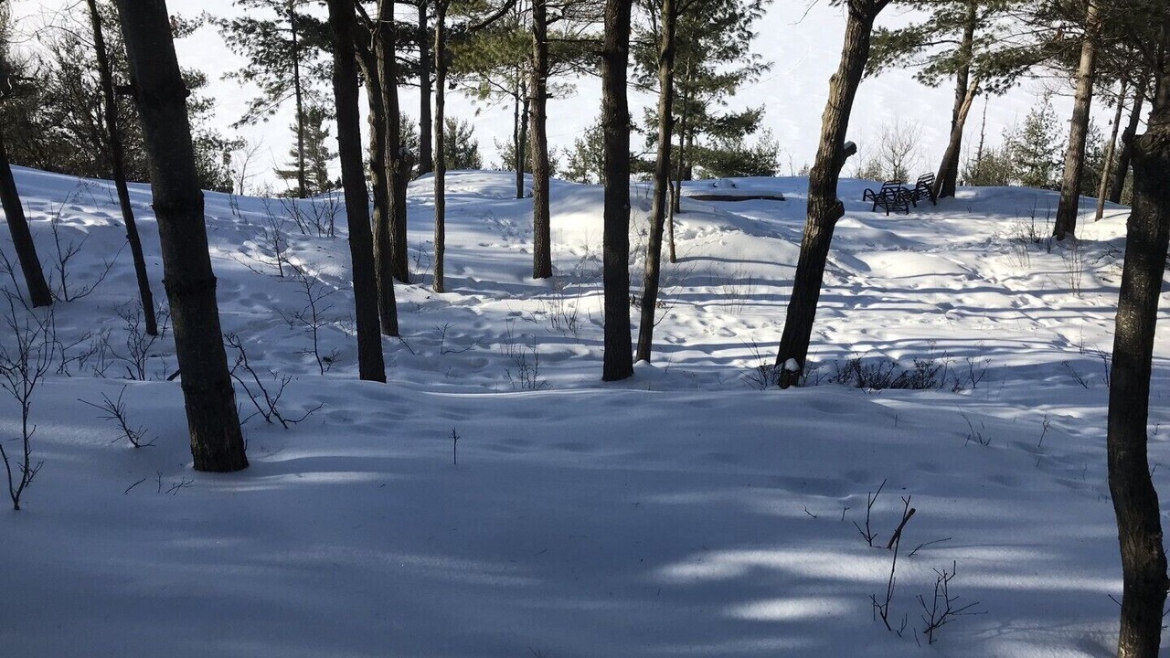 Photo of Others in Whitewater Region