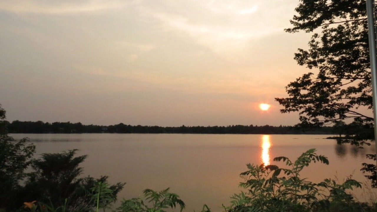 Photo of Others in Washago