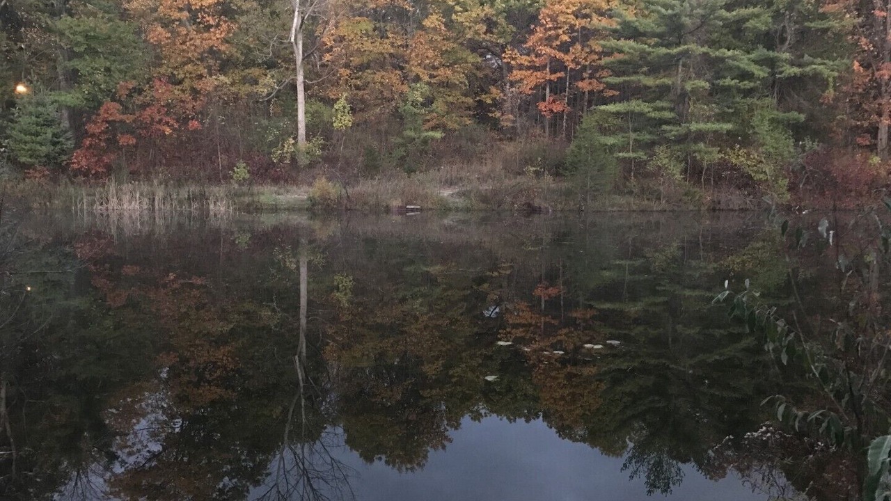 Photo of Others in Grand Bend