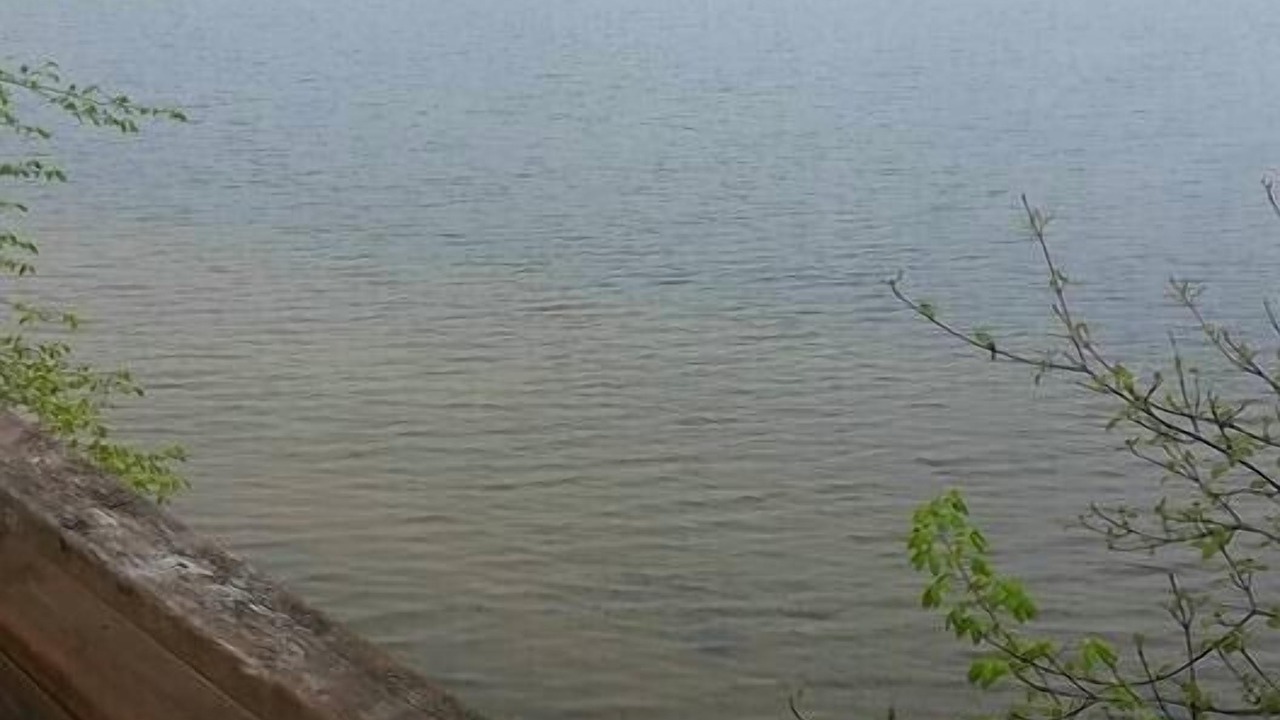 Photo of Outdoor in Cloyne
