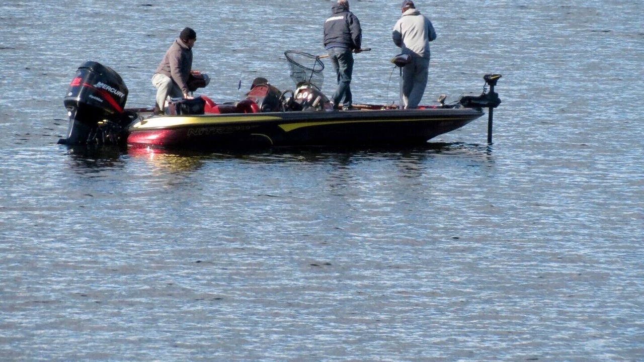 Photo of Others in Dysart et al