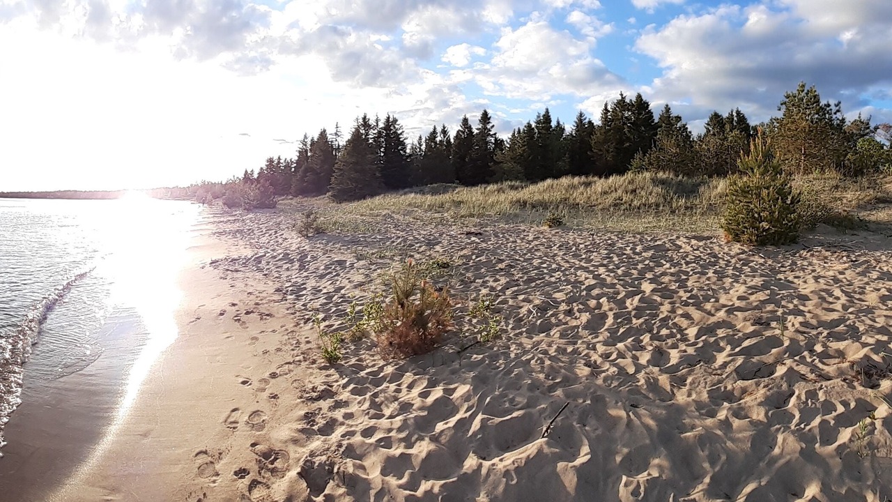 Photo of Others in Manitoulin District