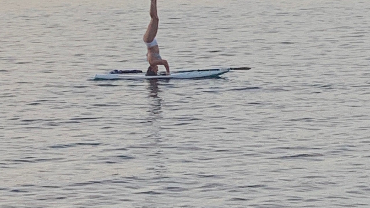 Photo of Others in Gravenhurst