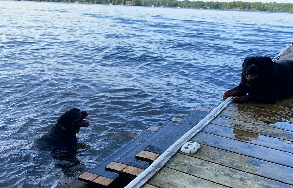 Photo of Others in Gravenhurst