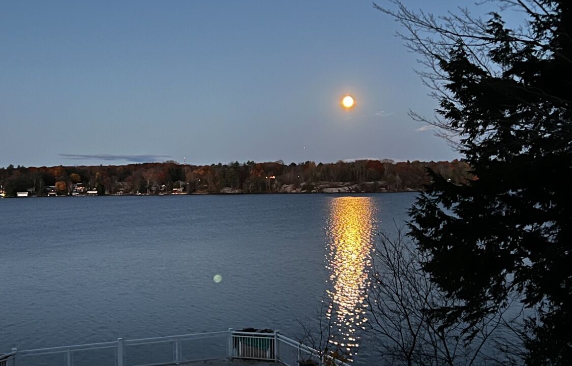 Photo of Others in Gravenhurst