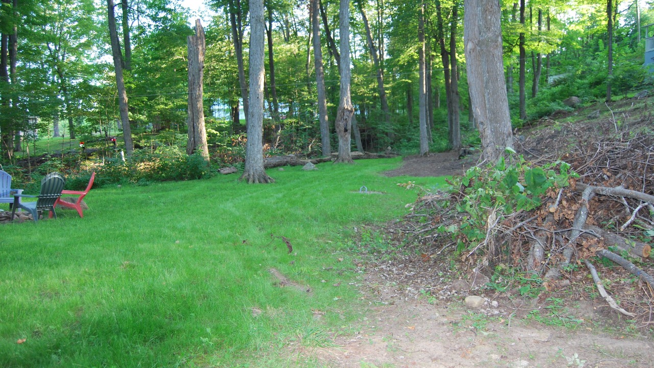 Photo of Outdoor in Central Frontenac