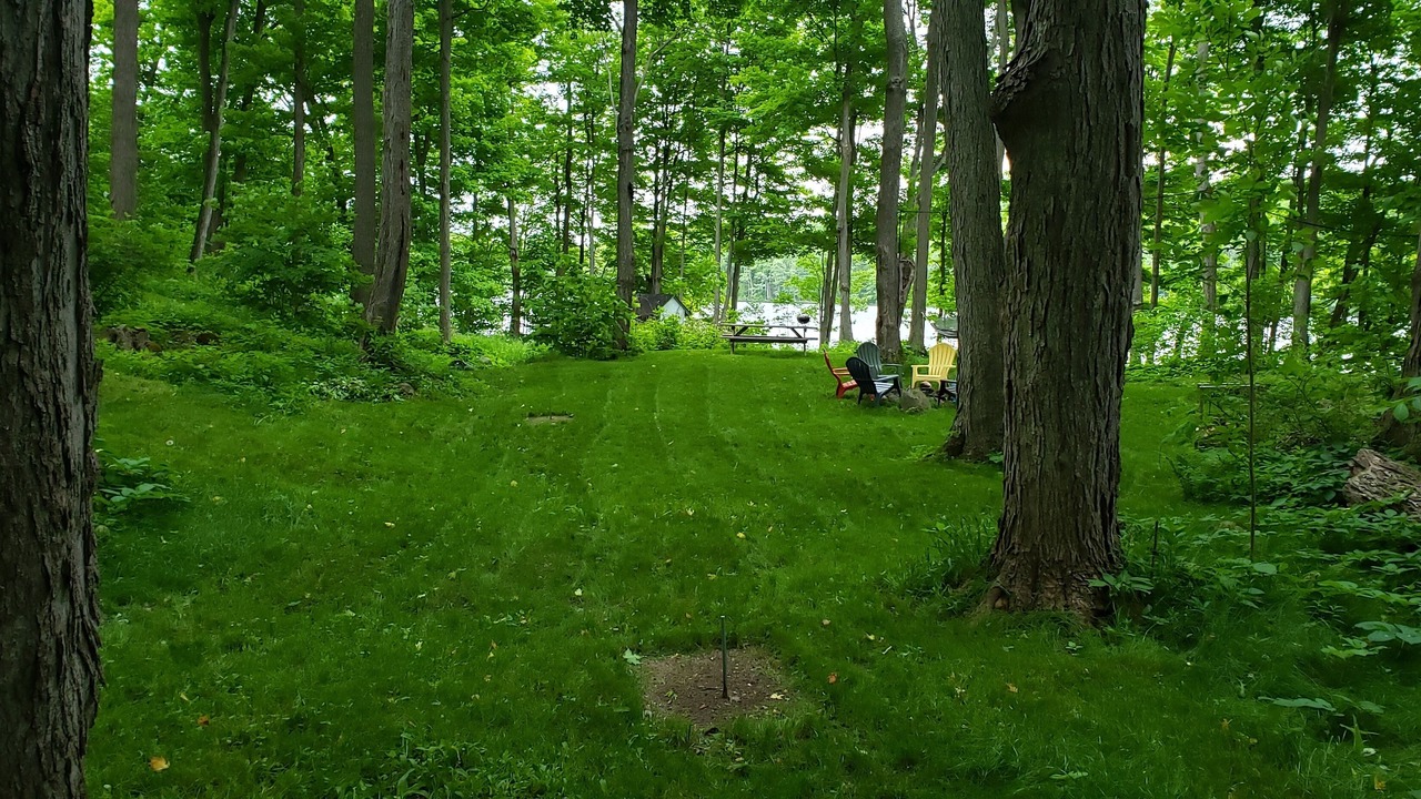 Photo of Outdoor in Central Frontenac