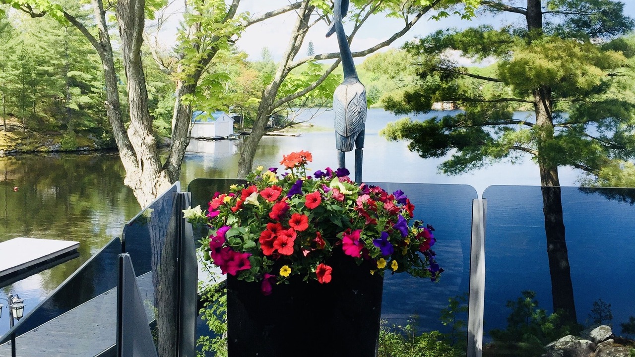 Photo of Outdoor in Georgian Bay