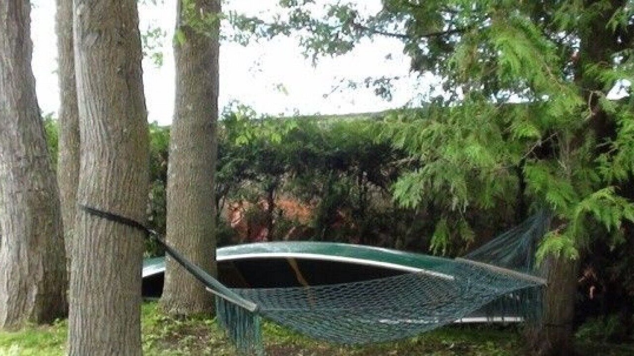 Photo of Outdoor in Virginia