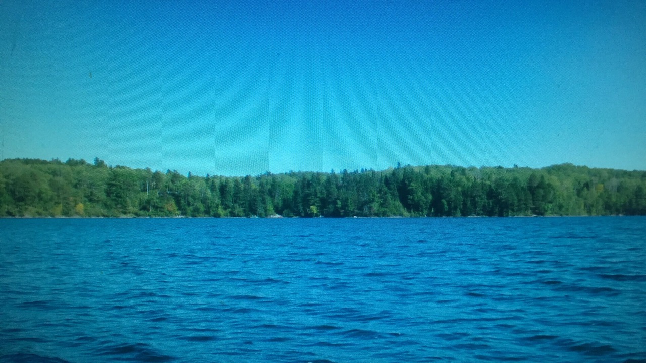 Photo of Others in Marcell