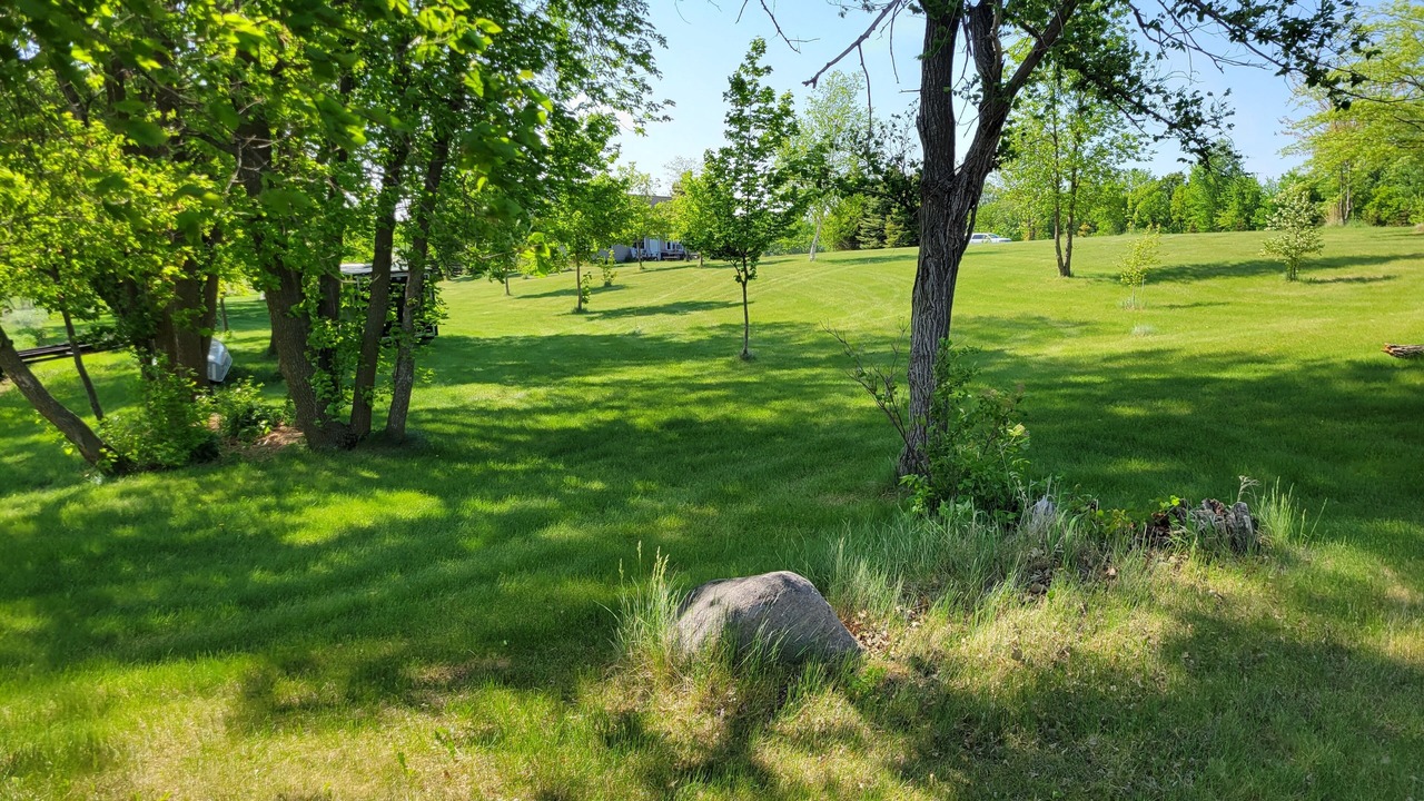 Photo of Outdoor in Alexandria