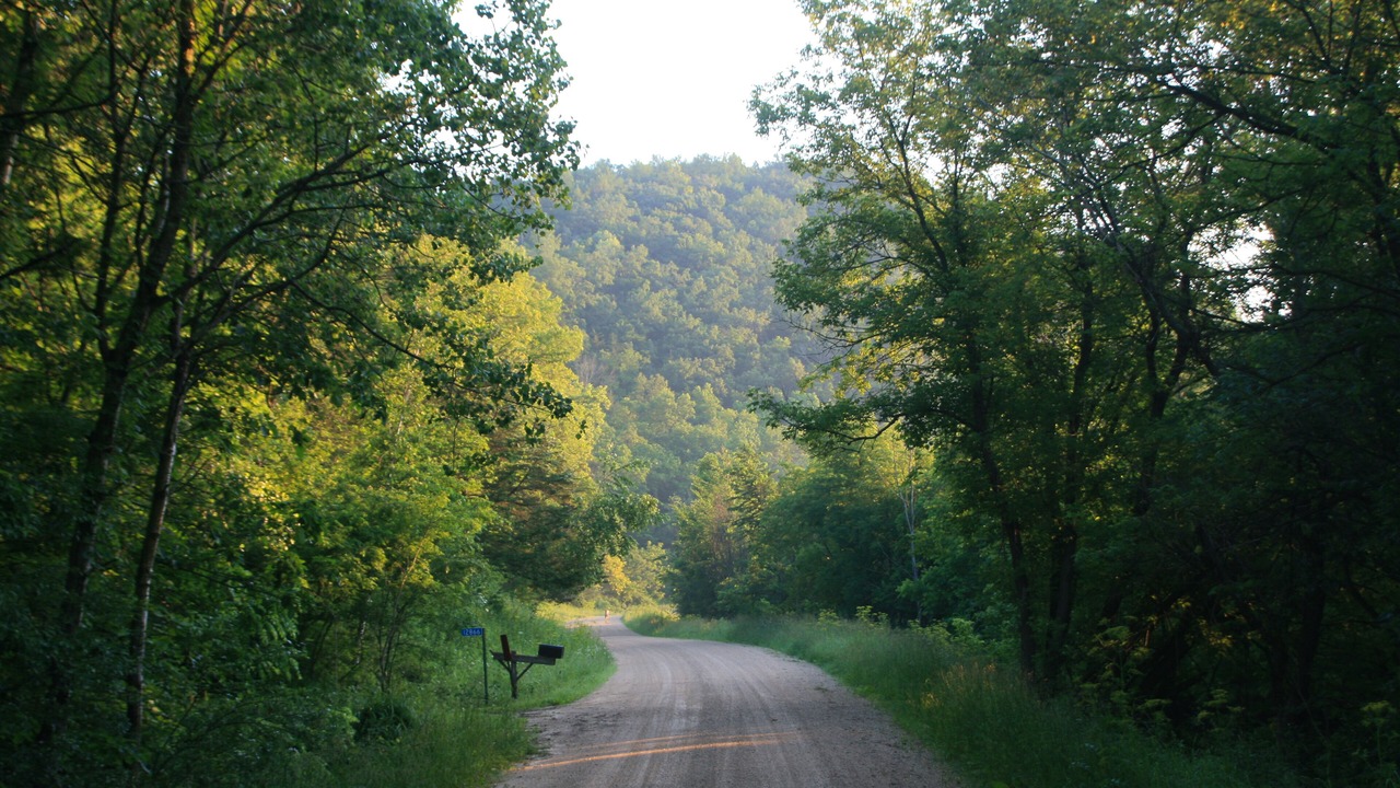 Photo of Others in Caledonia
