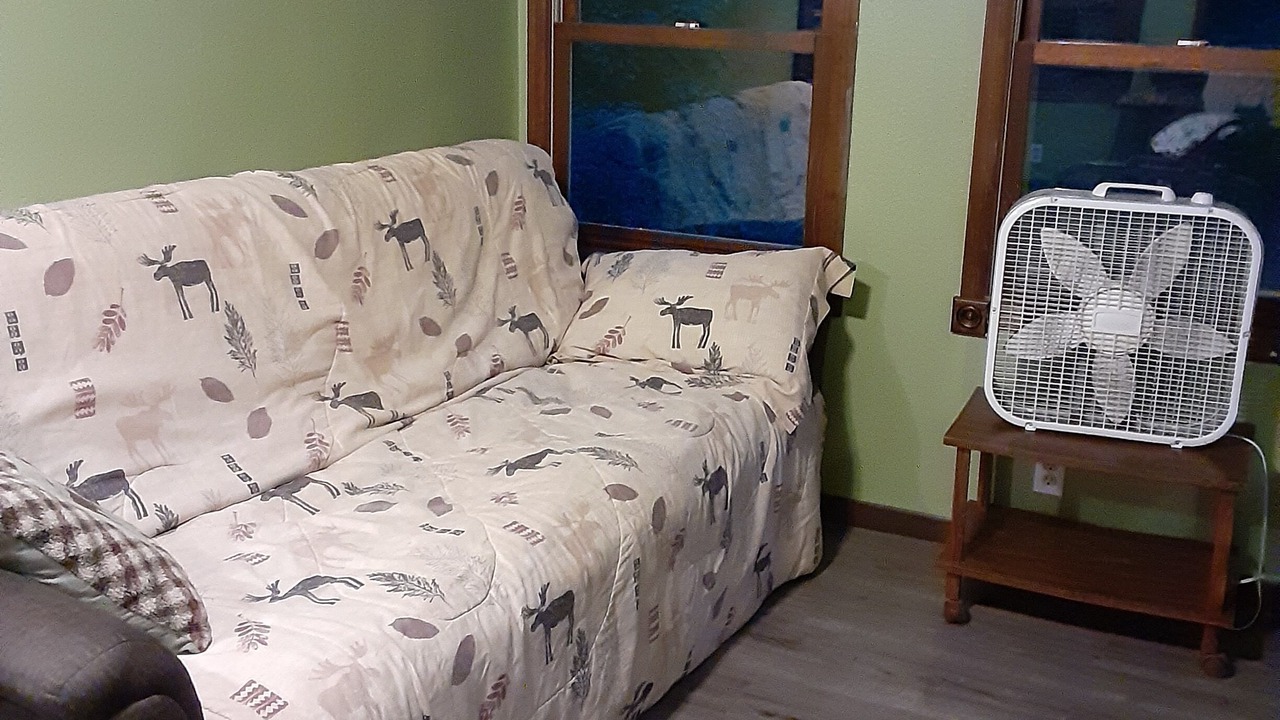 Photo of Livingroom in Browerville