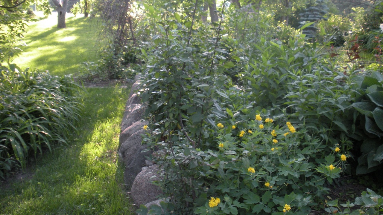 Photo of Others in Minnetonka