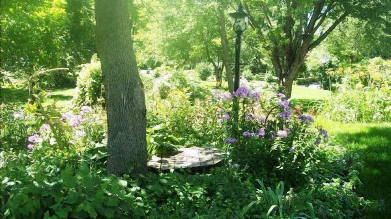Photo of Outdoor in Minnetonka