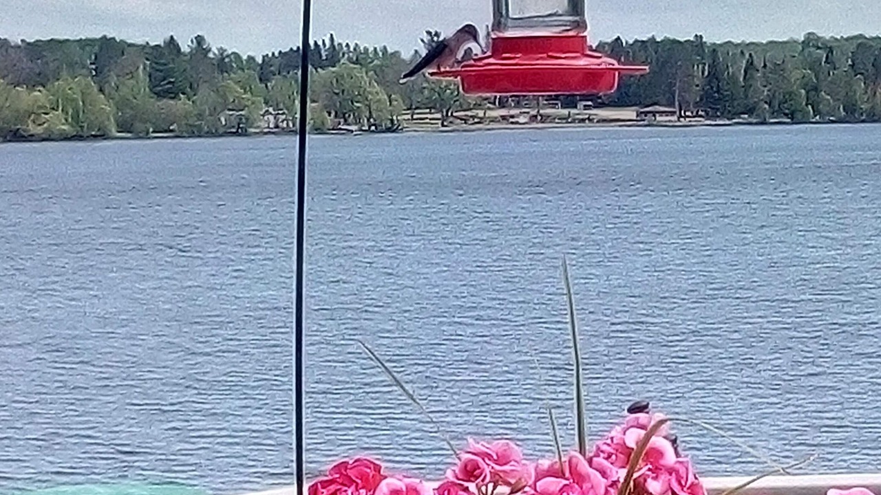Photo of Others in Duluth