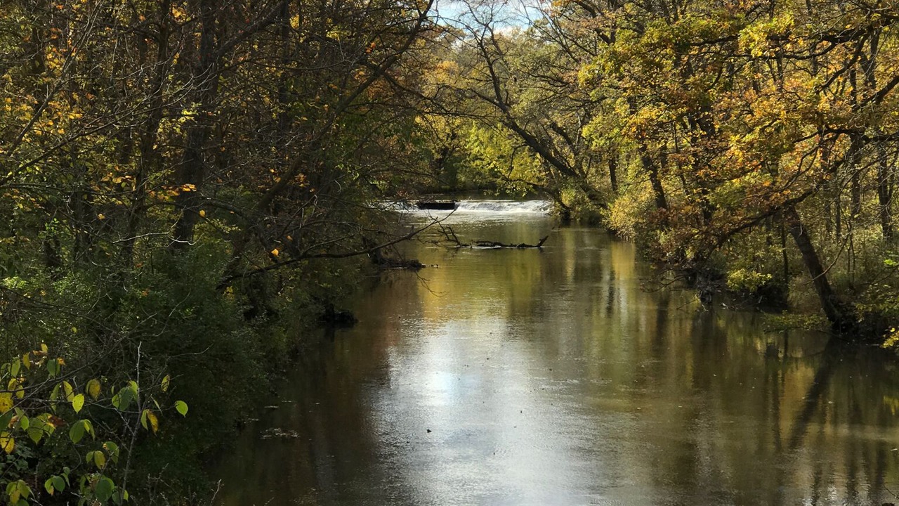 Photo of Others in Stewartville