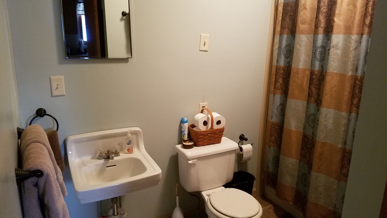 Photo of Bathroom in Ortonville