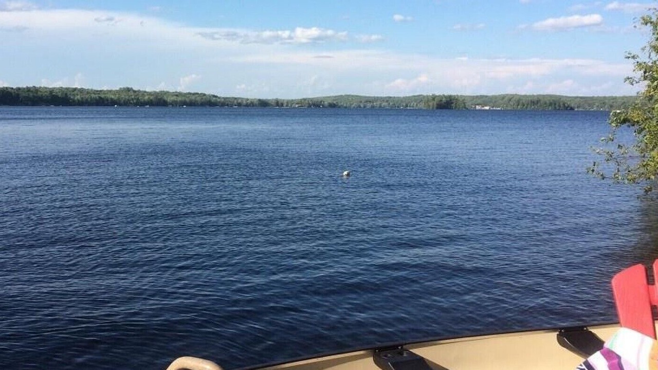 Photo of Outdoor in Wollaston