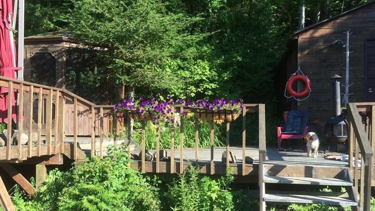Photo of Outdoor in Wollaston
