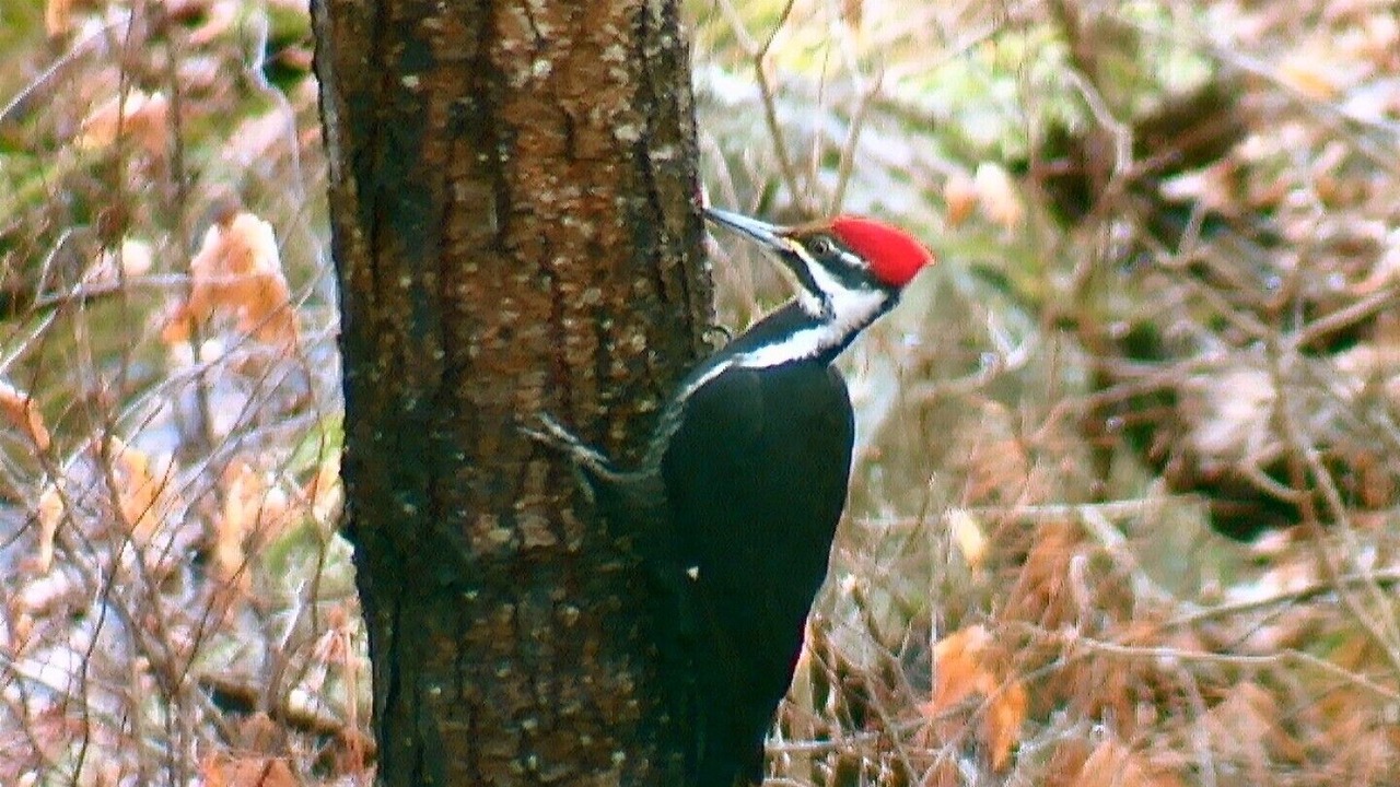 Photo of Outdoor in Tay Valley