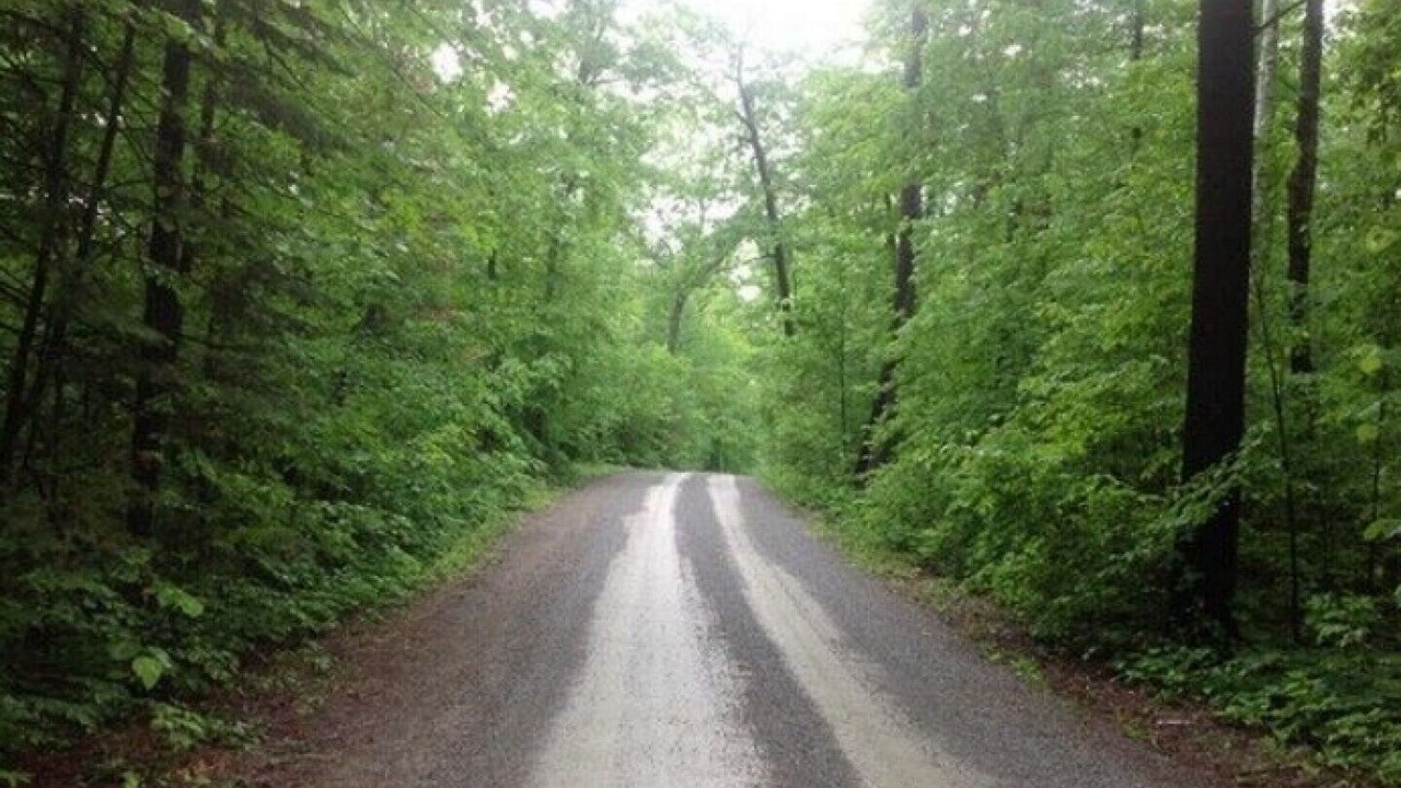 Photo of Others in North Algona Wilberforce