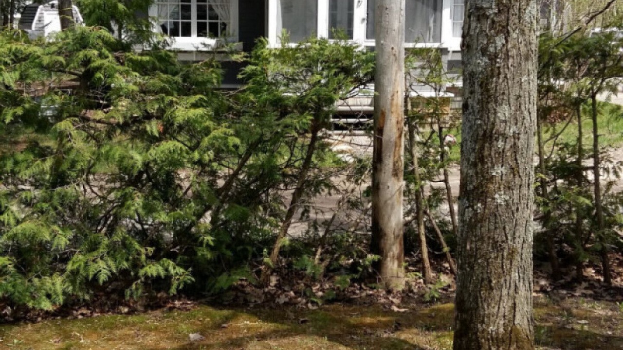 Photo of Outdoor in Pleasant Point