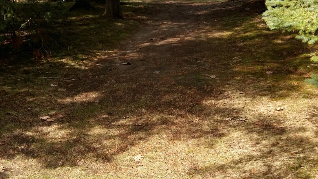 Photo of Others in Pleasant Point