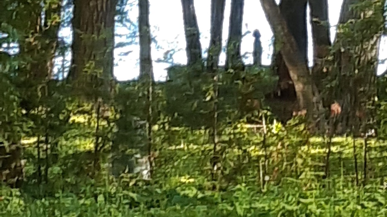 Photo of Outdoor in Pleasant Point