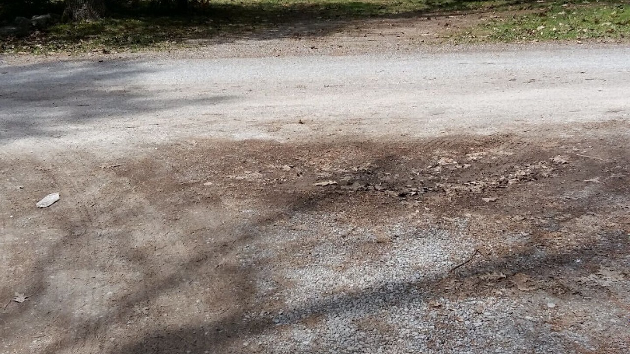Photo of Others in Pleasant Point