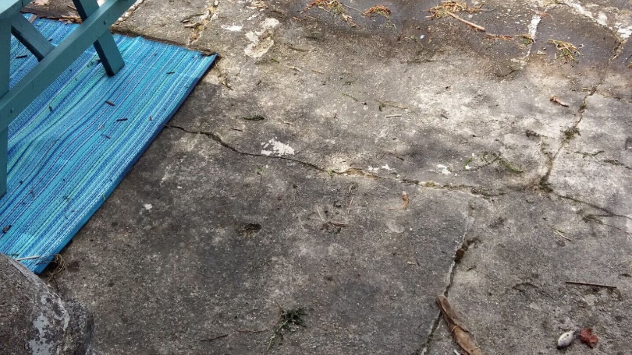 Photo of Outdoor in Pleasant Point