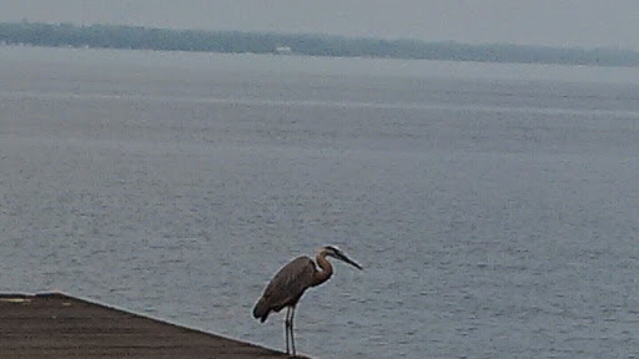 Photo of Others in Pleasant Point