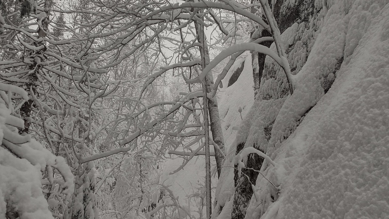Photo of Outdoor in Kenwood