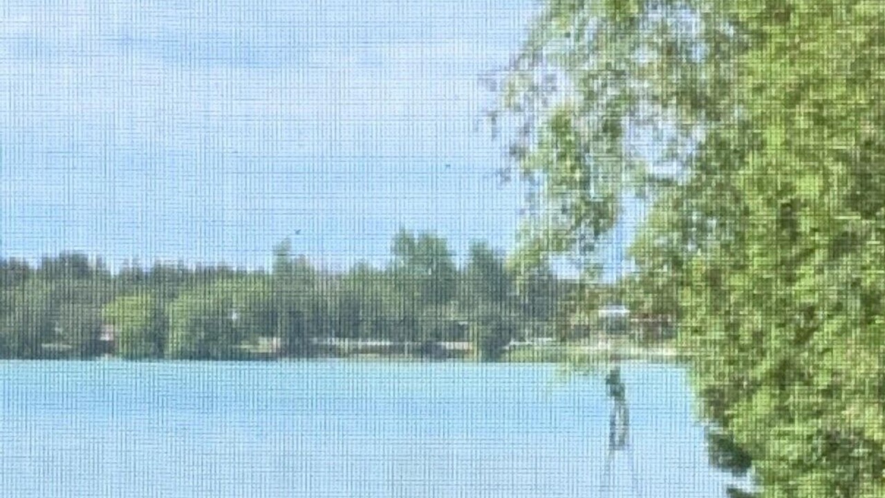 Photo of Others in Colborne