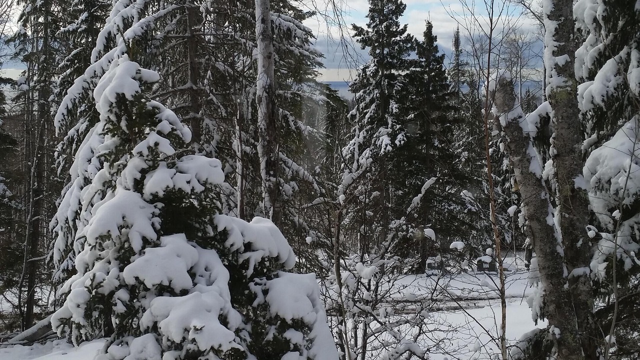 Photo of Outdoor in Lutsen